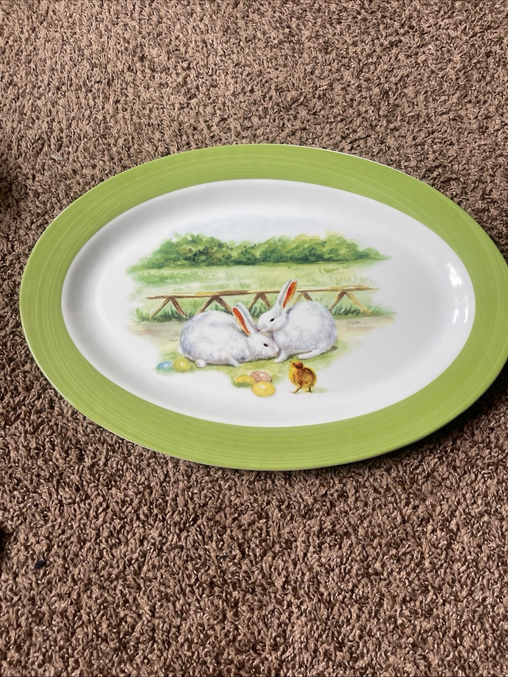 Spring Bunny Ceramic Serving Platter W placemats - Green Border